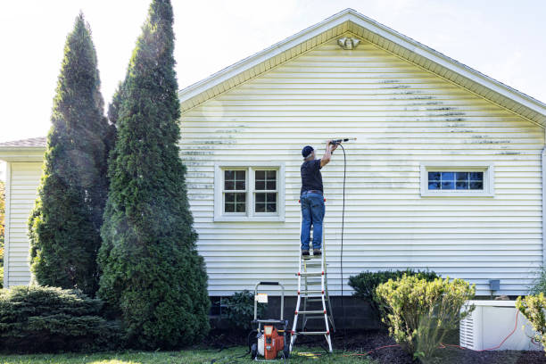 Best Roof Washing  in Ridge Manor, FL