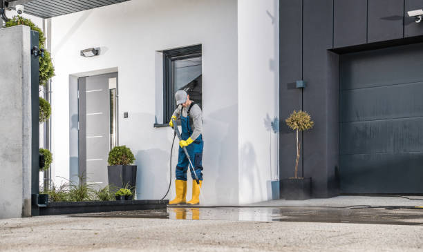 Best Solar Panel Cleaning  in Ridge Manor, FL